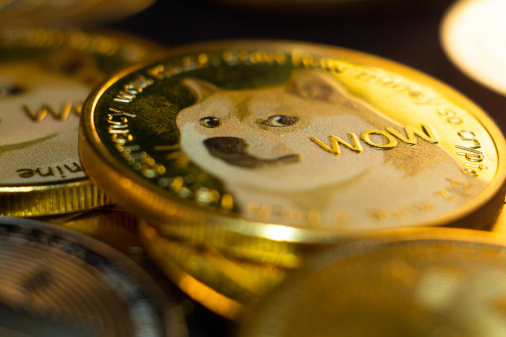 Should You Invest in Dogecoin